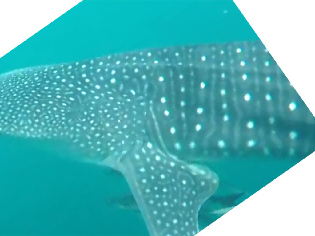 c610f3a2-ff05-44fb-bfcd-e90942b2a3e5