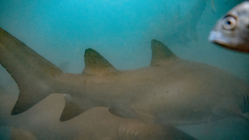 3f6da1e5-109f-4ff8-b51a-77349a33cc9c