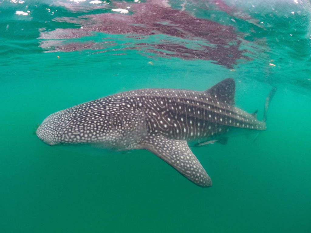 996b9b12-b82a-432c-ab23-5bd51b59f705