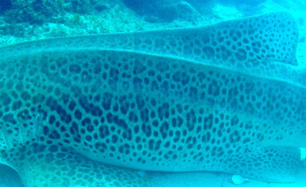 02da0b4d-3e82-4687-a51f-909fd5aa8e3c