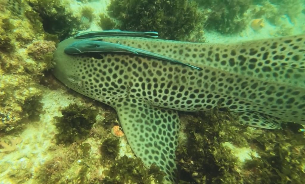 8d183822-cca5-4846-af8f-246e112f0016