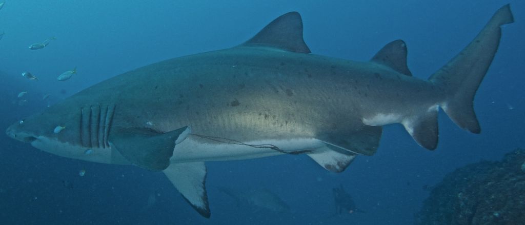 c1ee353b-a5b6-4f8f-b0be-c80a8dc2a2fc