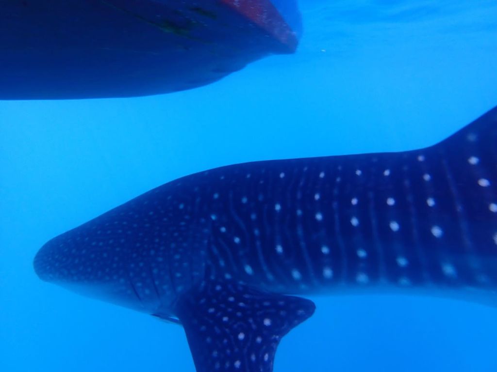 d4f9daa5-a1bb-482d-aa7e-563797f7bcdb