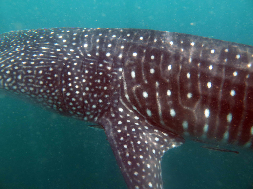 450e8760-1193-4cf2-9040-a7c7c2ff80c6