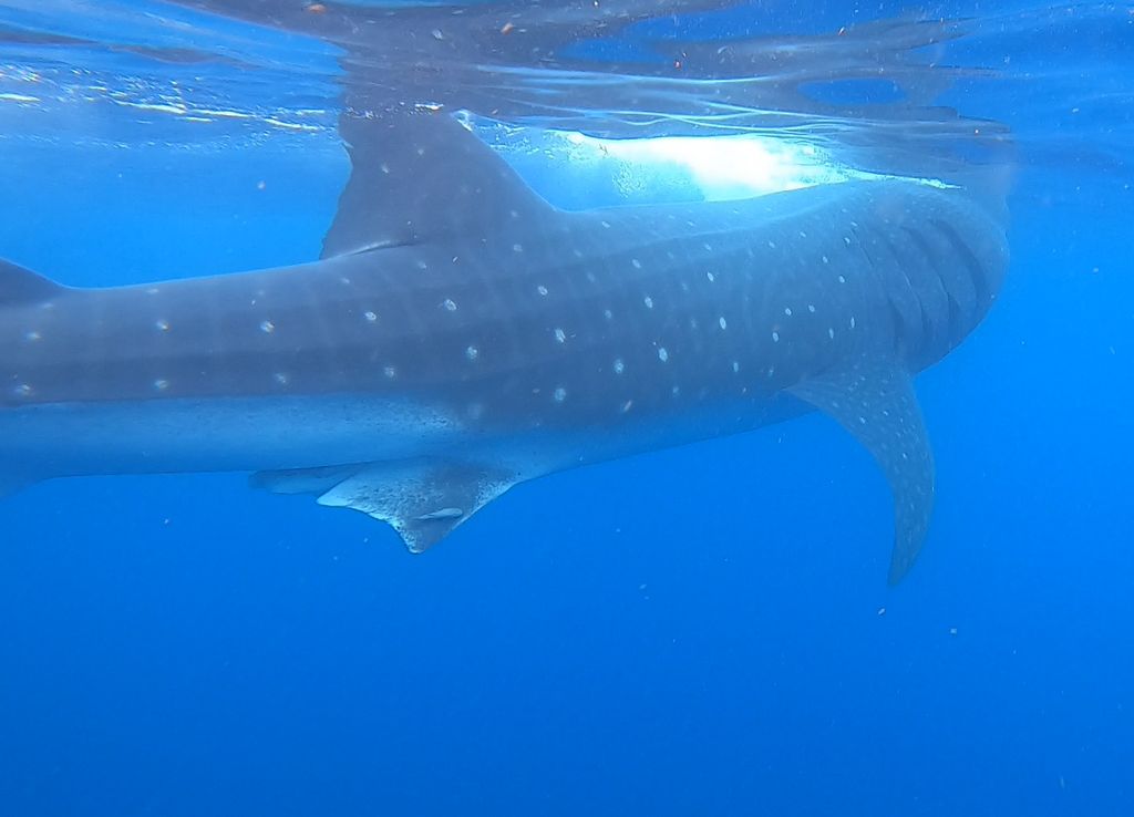 4f7700fa-0390-41d7-b3f7-b17413ebeedb