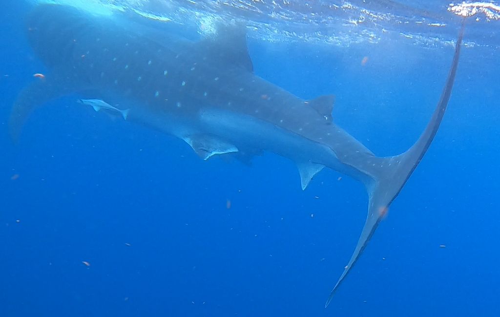 4f7700fa-0390-41d7-b3f7-b17413ebeedb