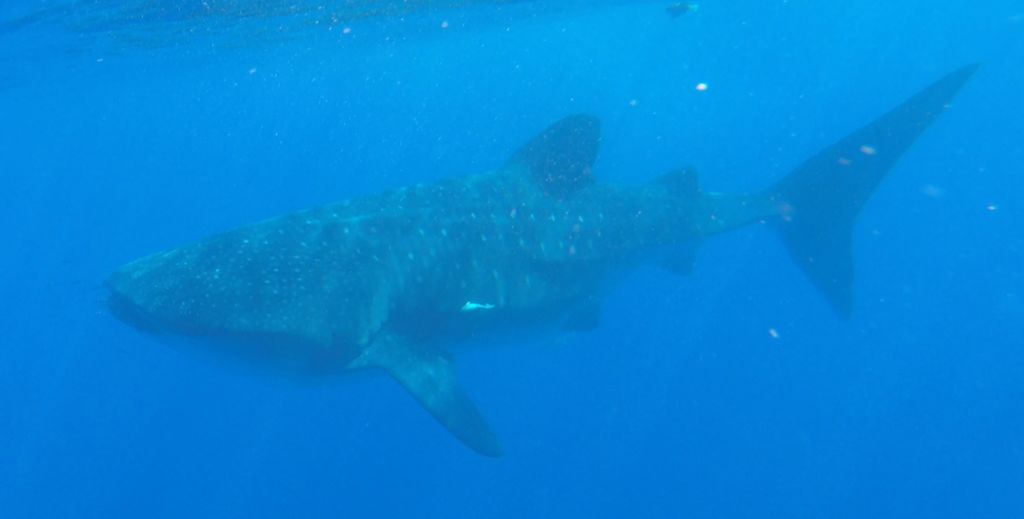 82873f84-4089-4f7b-a4f8-ca3f8eb5cfdd