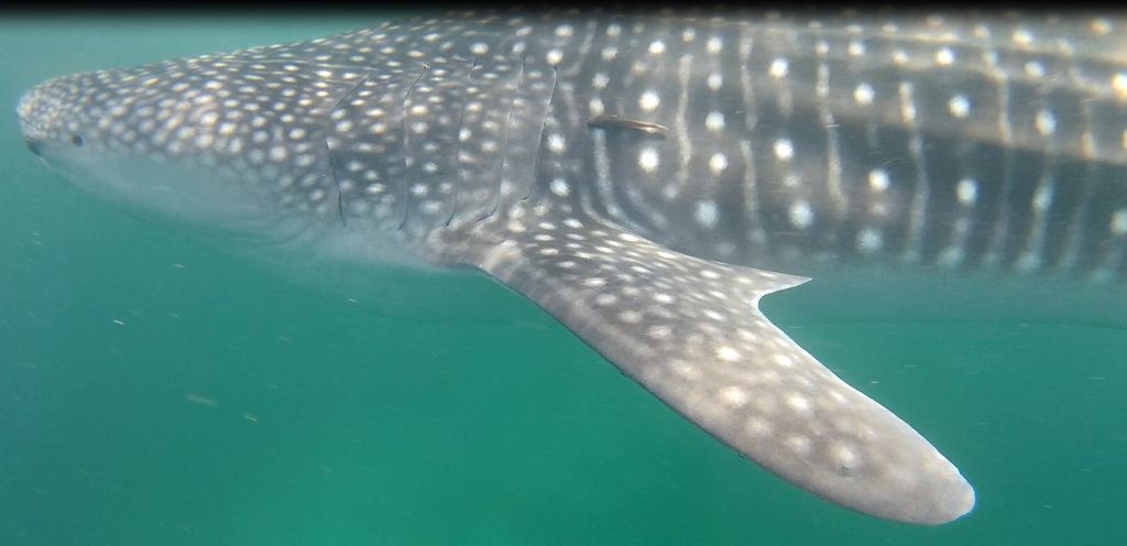 7a559ab0-12ae-4d6b-b1cd-fd4cc8fae848