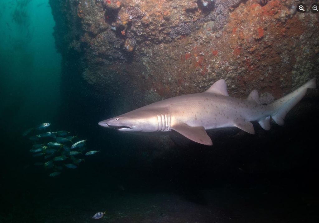 2ca42988-b073-449b-b7d4-67d61ec4f002