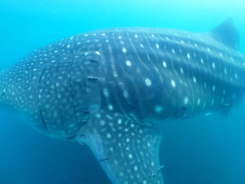 7ce188a3-2ad8-4654-ae87-690a8409c6a0