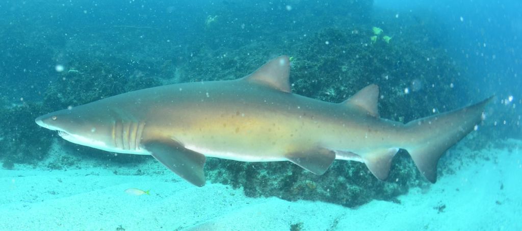 ec5397f2-8e6e-454a-ac9f-467c716a51f1