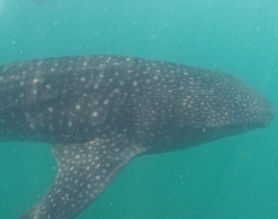 d135c266-acc1-45ed-8ec4-b205693f01ea