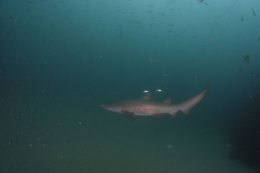 b71a51ef-e8a3-41d5-8599-1bf2353f1478