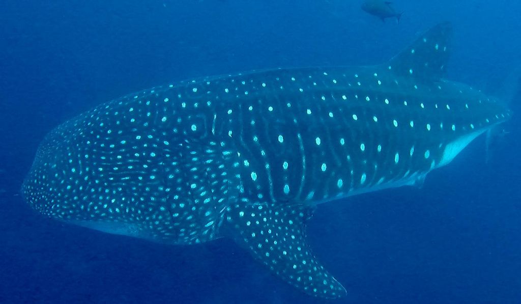 26c8193d-06d8-4c1d-9624-3ac4b1930b76