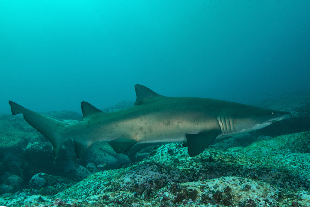 87c69c36-8435-44c0-ba05-a3ec5217bb8c