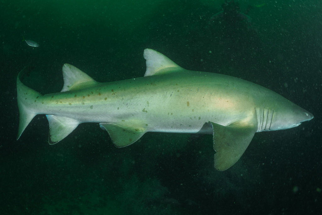 1a8a636c-eb7e-4684-bae2-bc4e93c7f9d9