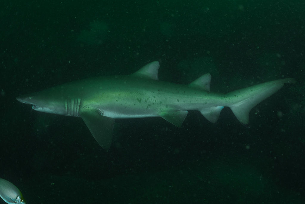 1a8a636c-eb7e-4684-bae2-bc4e93c7f9d9