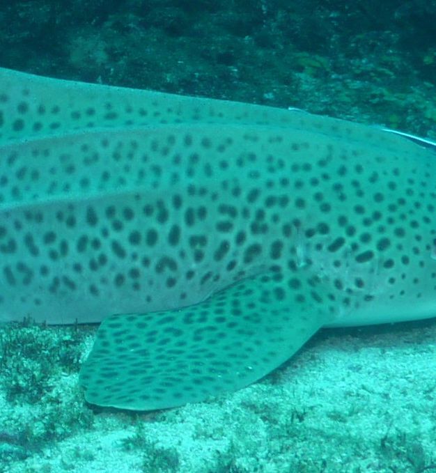 0ba7a75c-d64d-460e-89e1-ac8a6802ba7d