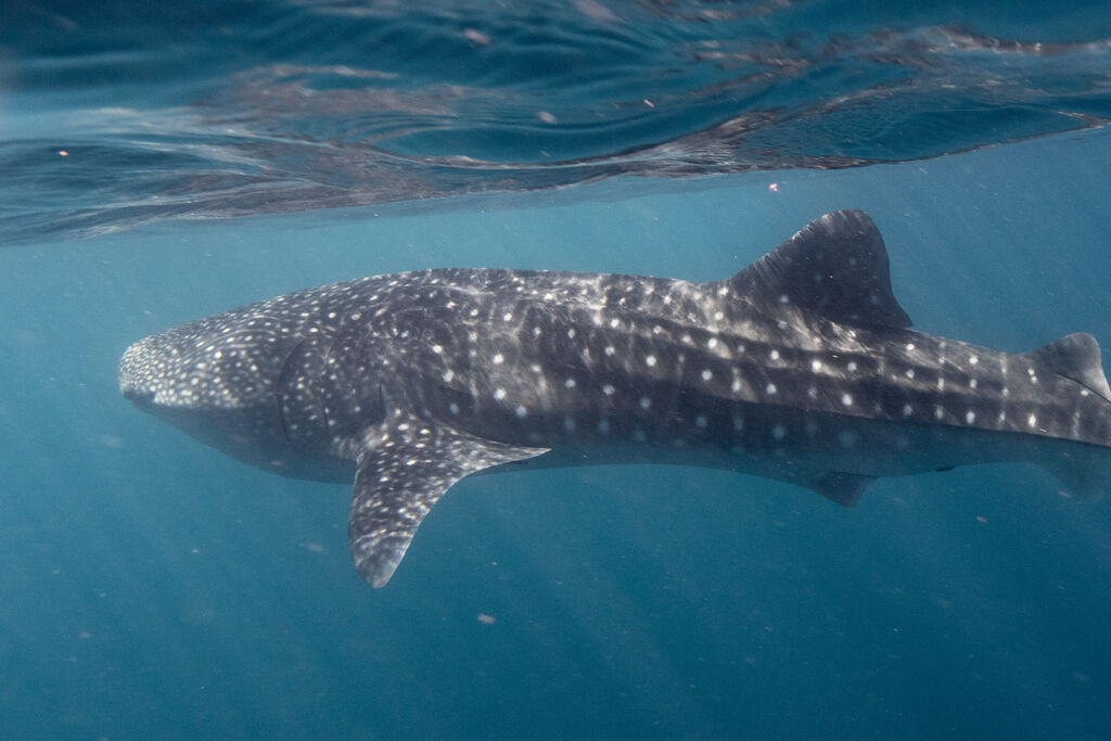 0711061b-1dd3-4bfd-9127-f51677fe72d5