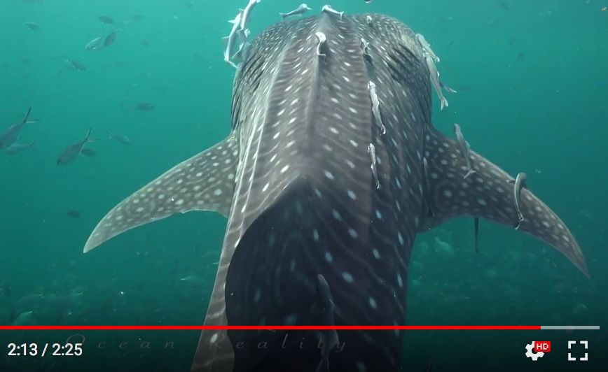 02708104-051d-4674-90c2-c9090ddc1690