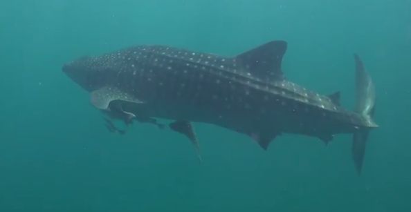 02708104-051d-4674-90c2-c9090ddc1690