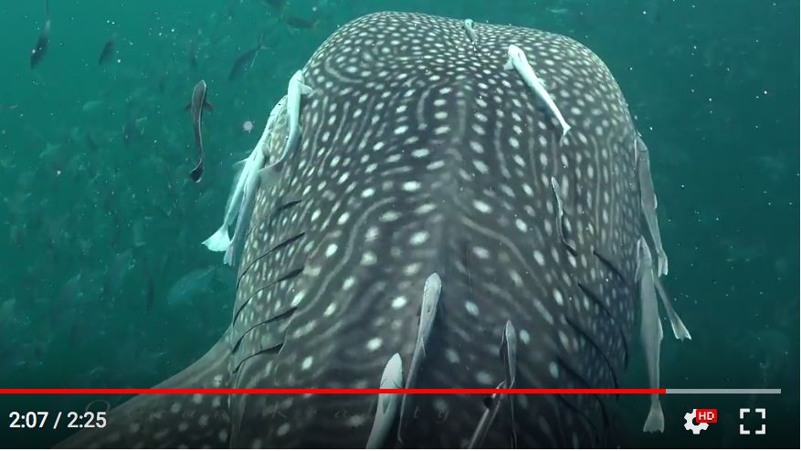 02708104-051d-4674-90c2-c9090ddc1690