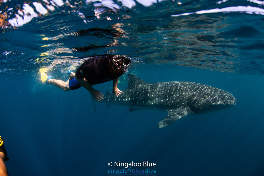 5bae4f64-822e-4ec8-be13-48621be3f243