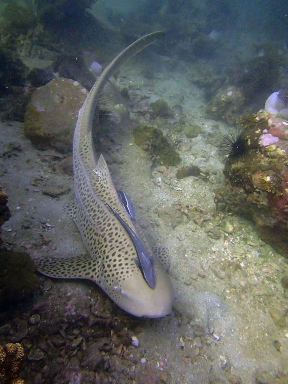 0771a747-ded9-4590-9669-50264fbe59c1