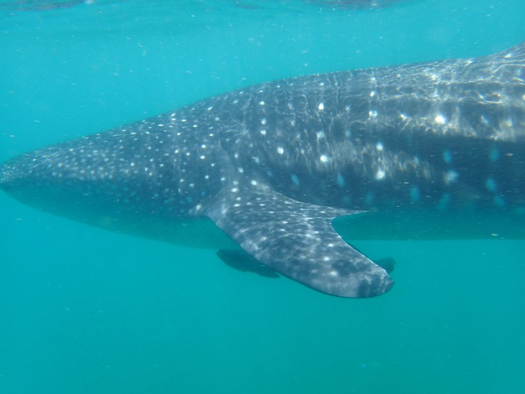 81f6754a-9006-48a4-a36f-97a99132311d