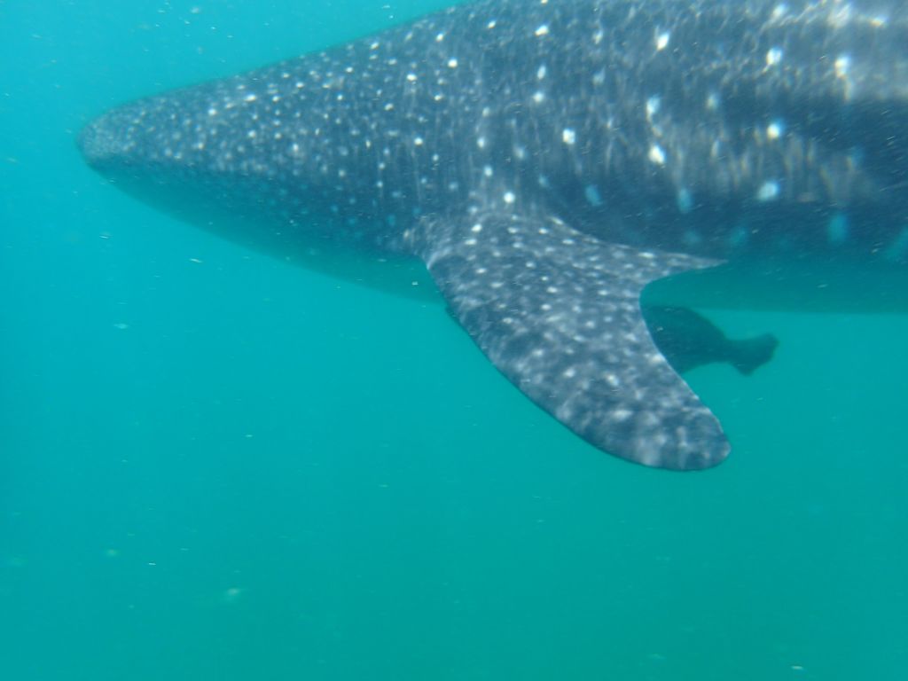 81f6754a-9006-48a4-a36f-97a99132311d