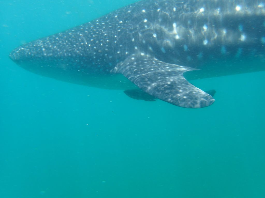 81f6754a-9006-48a4-a36f-97a99132311d