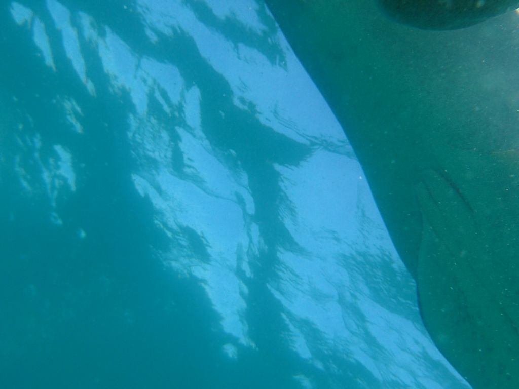 81f6754a-9006-48a4-a36f-97a99132311d