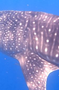 f8718fc0-40ce-4c3c-8a7c-c299972a9022