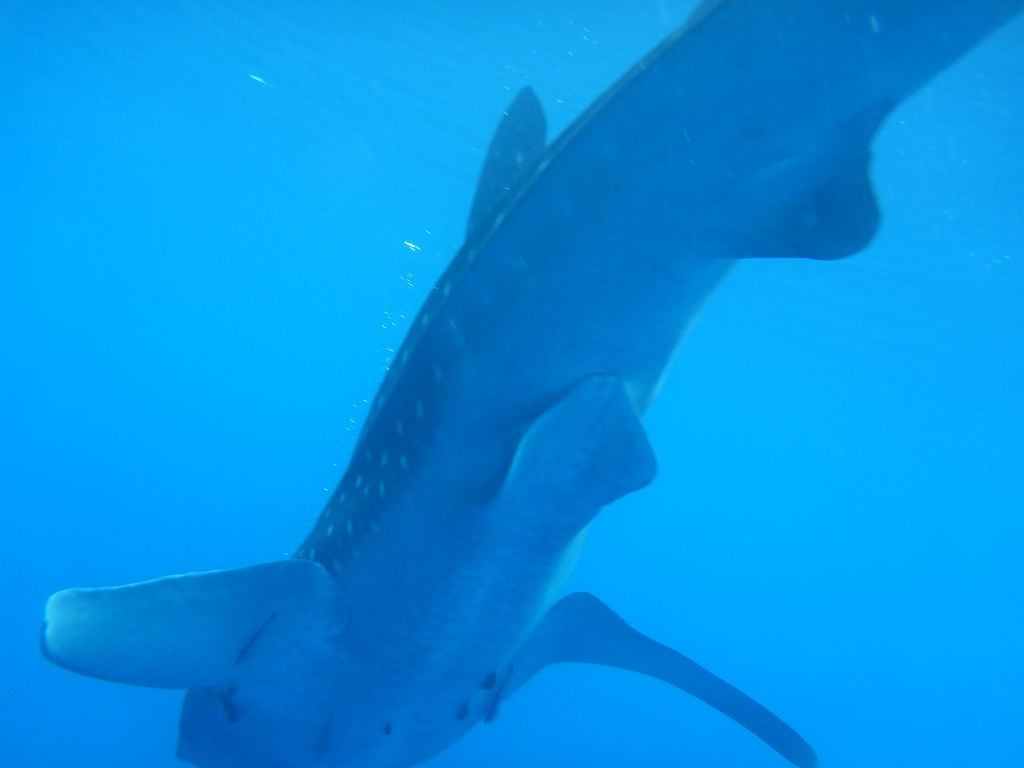 48f67117-48c5-4b79-bc03-cc5a92229a2c