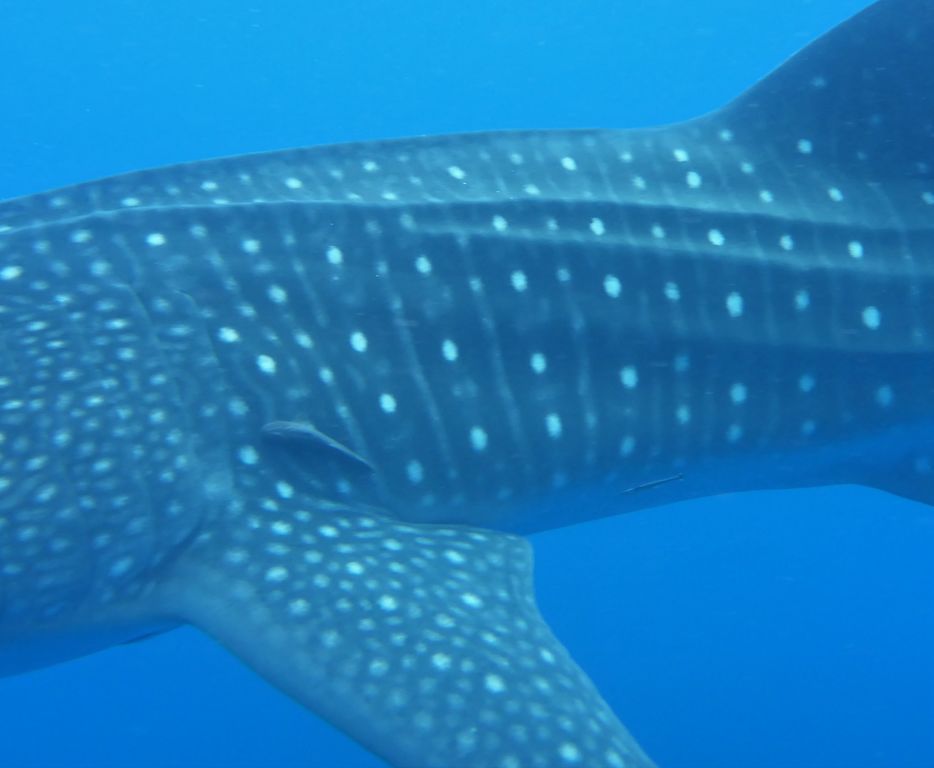 48f67117-48c5-4b79-bc03-cc5a92229a2c