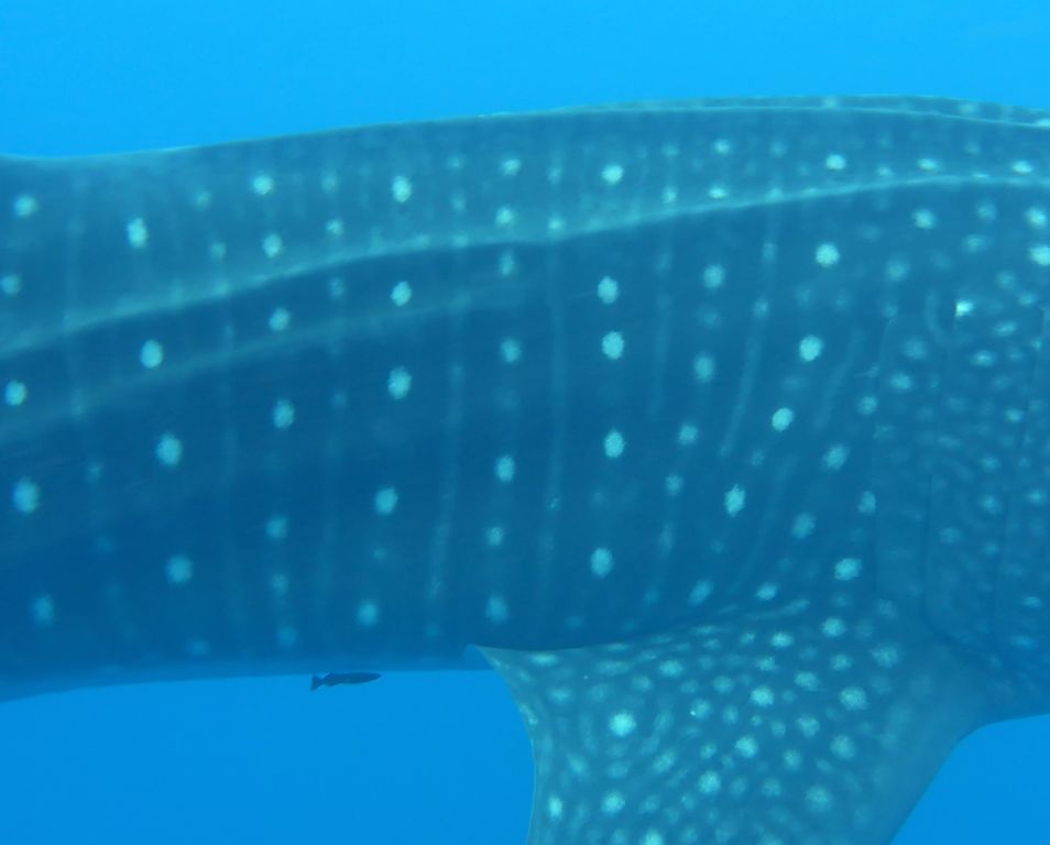 48f67117-48c5-4b79-bc03-cc5a92229a2c