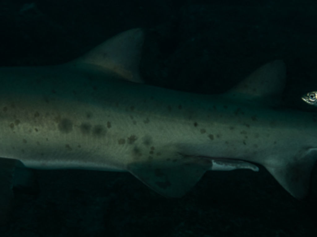 886e36b0-328e-496e-8da6-6f3c76ba0c91