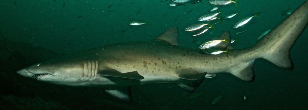 6a3effed-f081-4c57-a254-3ff68fa62a6c