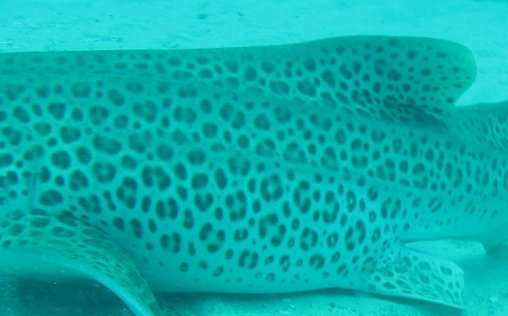 e7cfbc98-640e-4e1c-af16-a3ceaae1eb4c