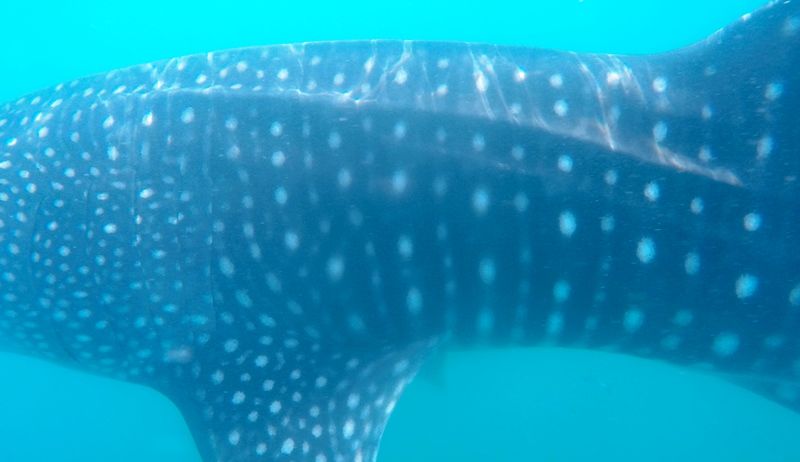 a035ea62-7f4c-4003-b9a0-0d45895dcaf9