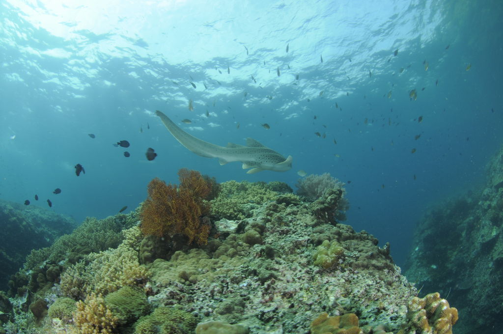 f4f2ef02-024a-4e0a-9009-8e6c3a63aa58