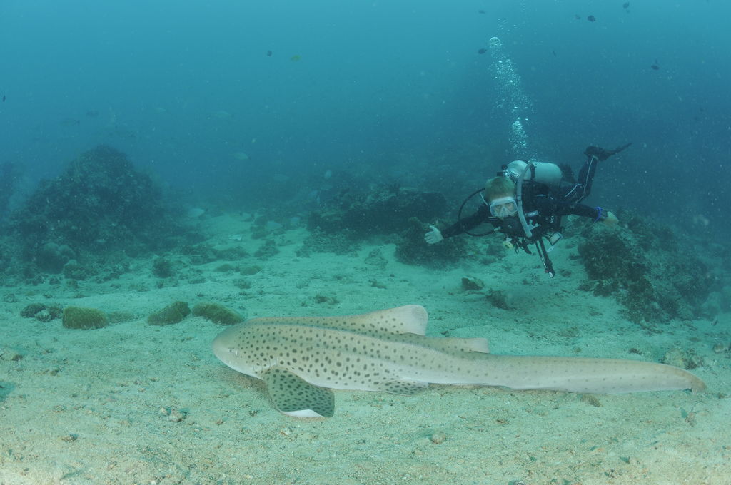 f4f2ef02-024a-4e0a-9009-8e6c3a63aa58