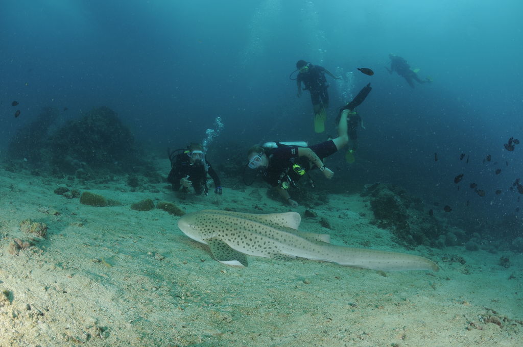 f4f2ef02-024a-4e0a-9009-8e6c3a63aa58