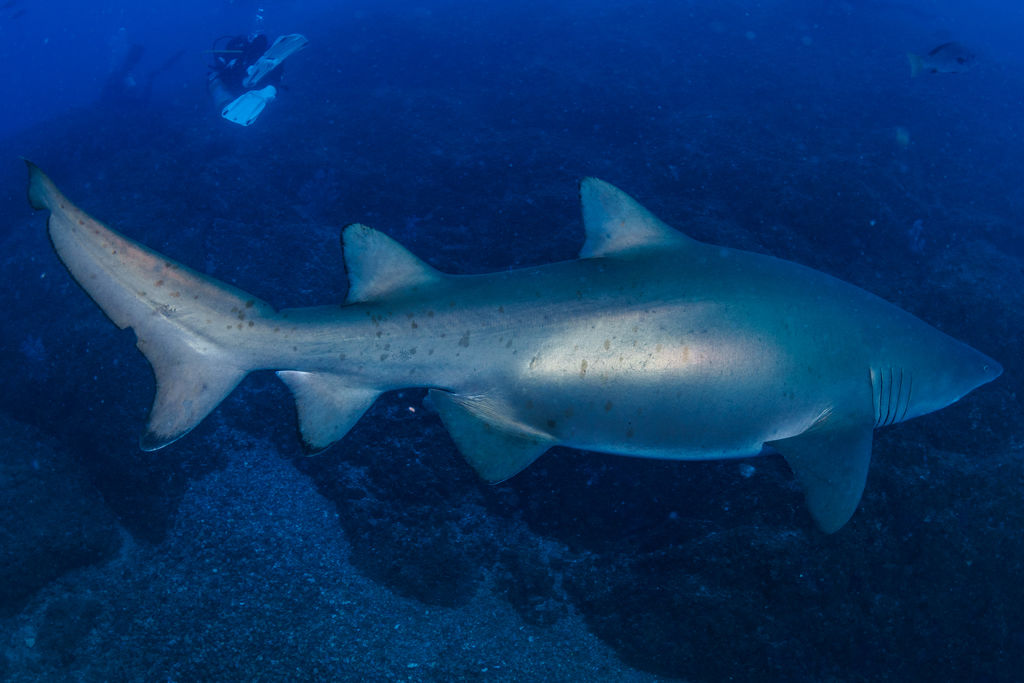 c6072938-0036-4717-aba1-2668eec3ea2d