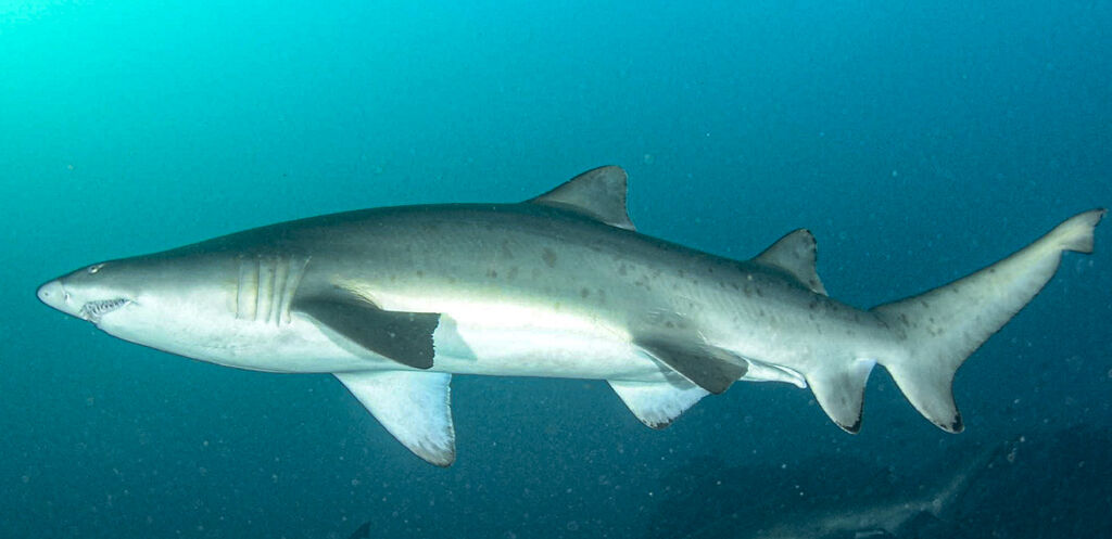 764420bd-7704-4e7e-97ce-8db854dc8c90