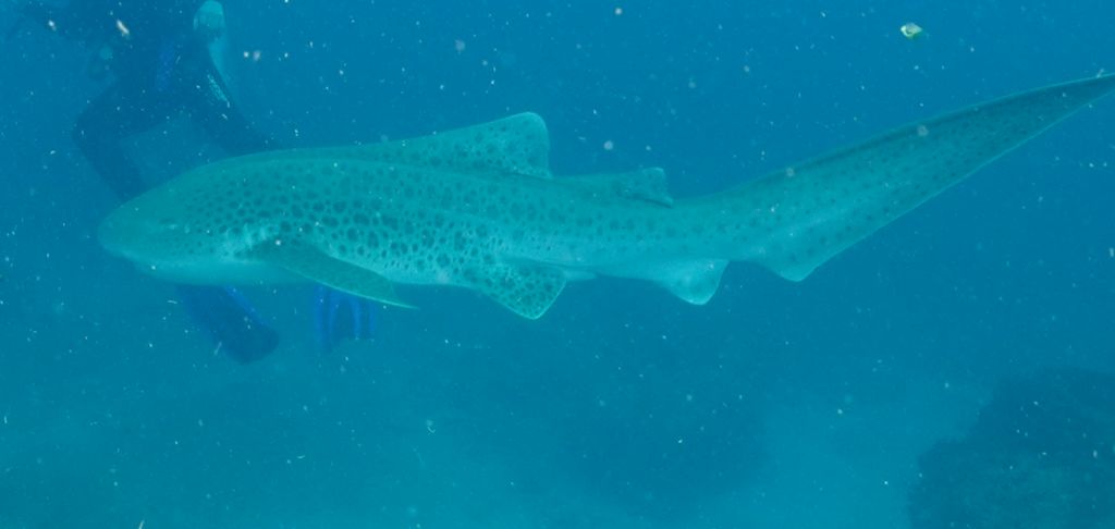 0dc6a00c-7176-4625-ba20-164aab07ccf6