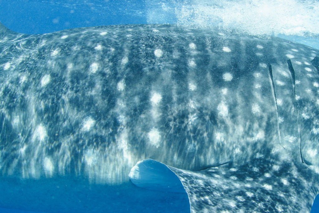 7126daaa-3716-4ad3-be78-4ea99dd0b75a