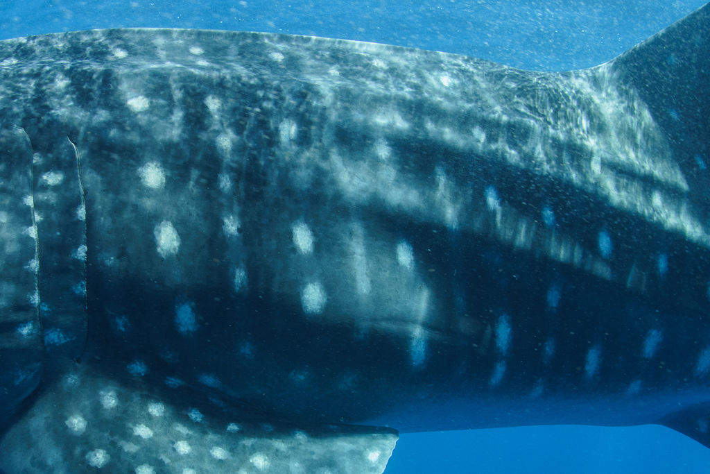 7126daaa-3716-4ad3-be78-4ea99dd0b75a