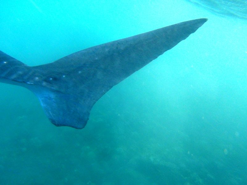 14274448-99cf-42e0-a88e-8c49bfc07749