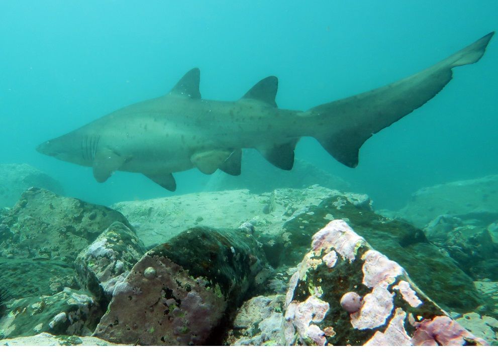 16eed216-1b5f-4178-8cb6-df71c47be314